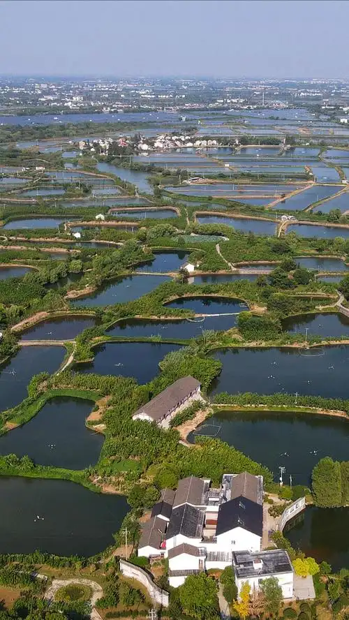 湖州桑基鱼塘