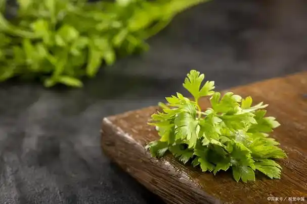 你知道香菜在古代象征着什么吗?