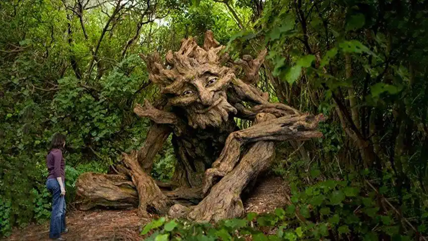 树龄4000多年的食人树,专吃女性,对男人没有一点兴趣!