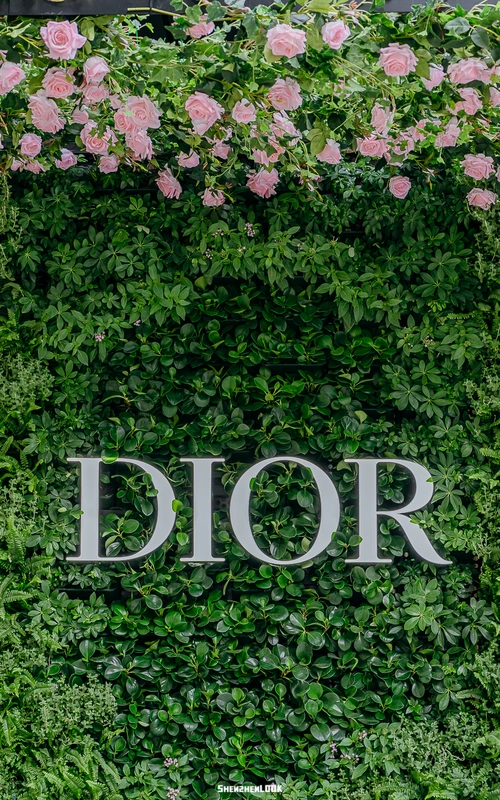 look | dior迪奥「全球旗舰店」· 深圳