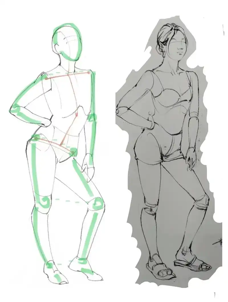 速写基础得把造型打好人体结构不可缺少