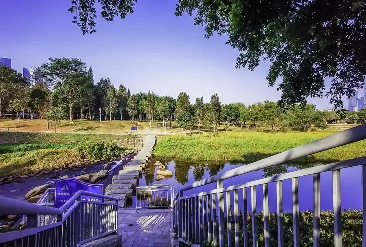 深圳中心公园掠影