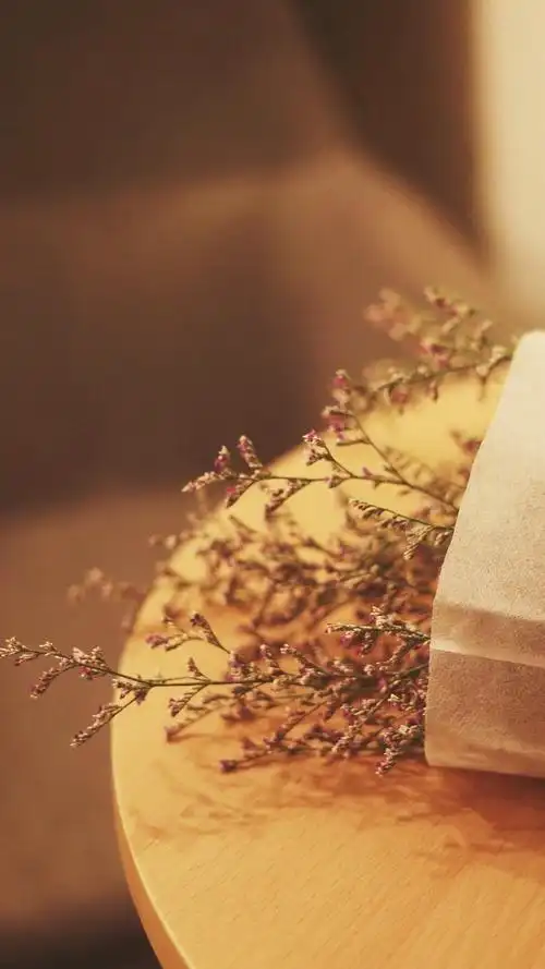 个性壁纸,治愈系,静物,小清新,个性,文艺风,治愈系,手机壁纸森系复古