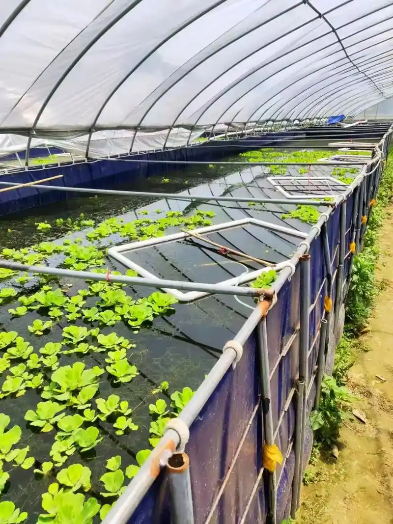 专业定做大型刀刮布帆布养殖水池鱼池.