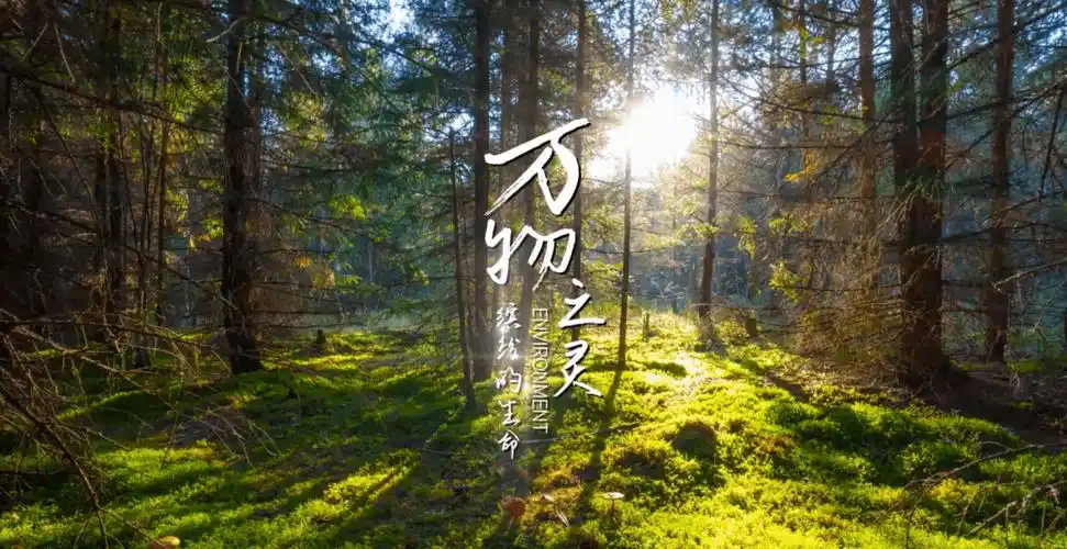 视频丨万物之灵 缤纷的生命_大自然