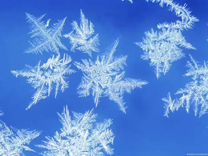 冰晶的形成-windows 10 高清壁纸 - 1600x1200 壁纸下载 -10wallpaper