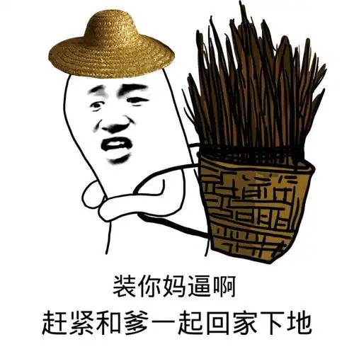 装你妈逼最,赶紧和爹一起回家下地