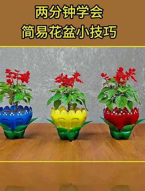用废弃饮料瓶,手工制作简易花盆,变废为宝还能让你收获满满