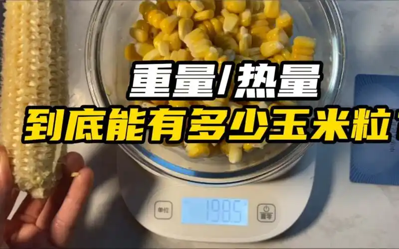 一根水果玉米的可食用部分到底有多少手剥玉米粒全过程食物称重热量