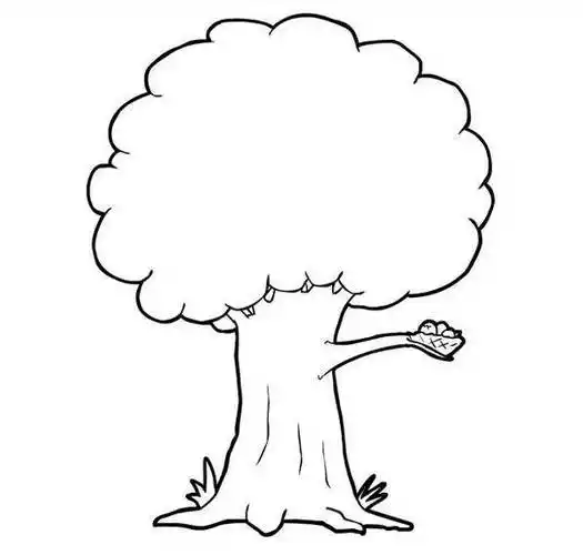 大树的简笔画 大树的简笔画简单又漂亮