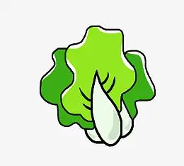 白菜,蔬菜,卡通画,青菜