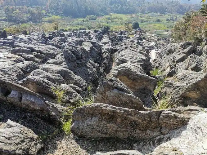 写美篇  西递石林景区,位于黟县西递镇叶村大周山附近,距黟县县 112