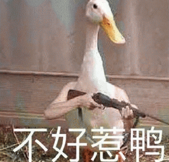 新手入坑,大佬们能推荐个职业吗【暗黑破坏神不朽吧】_百度贴吧