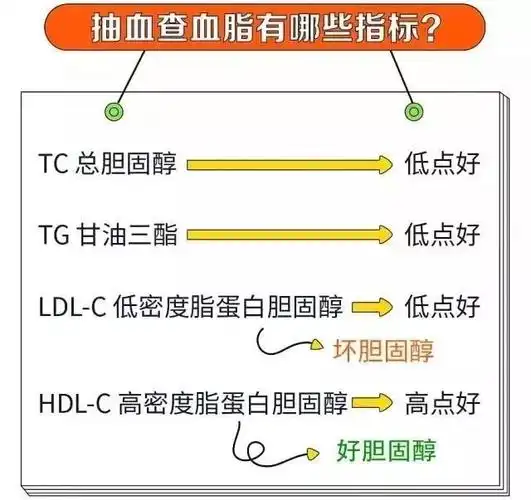 血脂报告怎么看?记住这几项指标就够了!