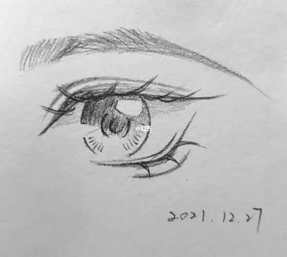 控笔24天临摹眼睛