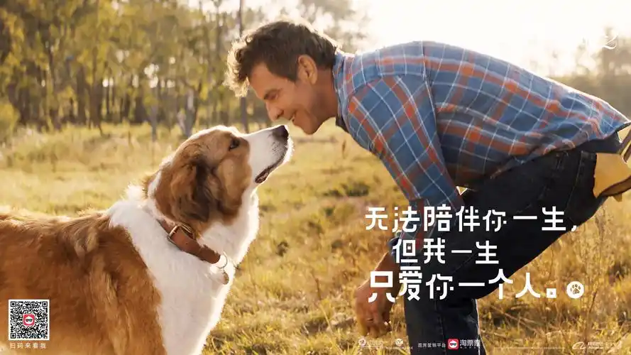 一条狗的使命2票房过亿单日票房逆袭夺冠