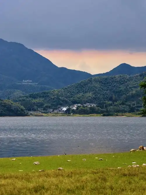 绍兴平水江水库·远山树林的味道