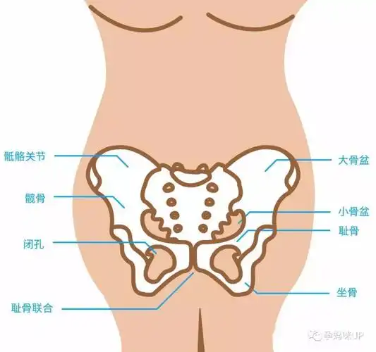 抬腿困难?也许是耻骨分离惹的祸!