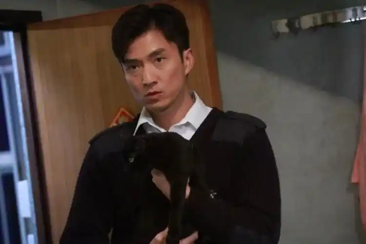 《金宵大厦》这只黑猫比李施嬅 陈山聪更抢镜!