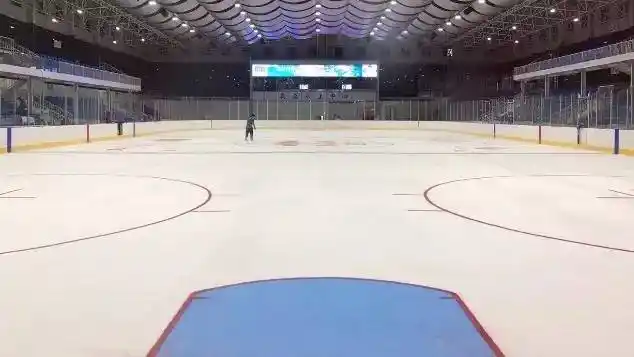 这是你能亲自体验的最专业的冰场