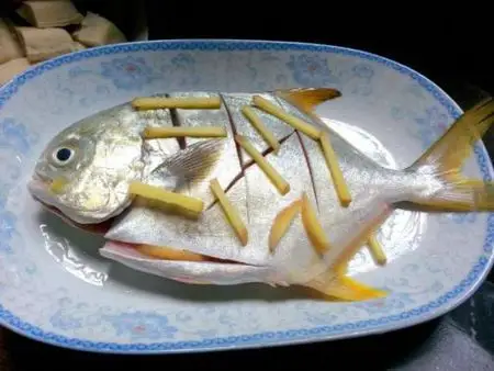 三枪鱼怎么煲汤