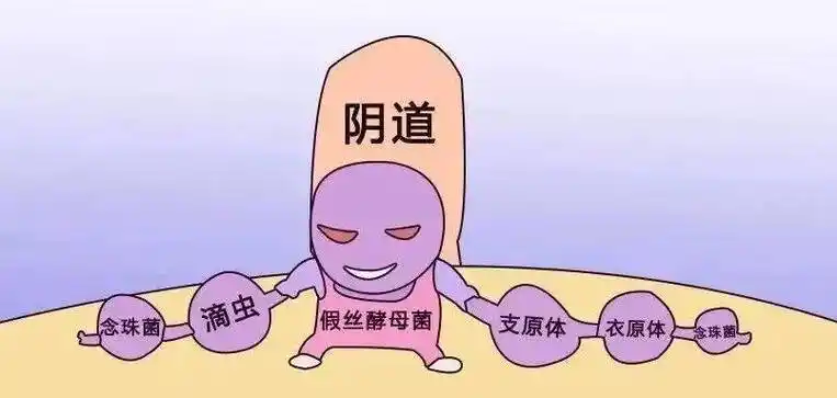 滴虫是一类肉眼看不见的微生物,可以藏在男性的尿道或前列腺内.