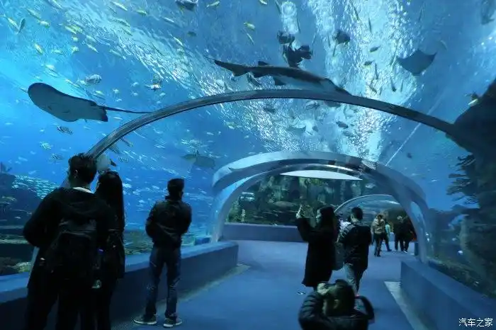 海底隧道的感觉,非常漂亮.