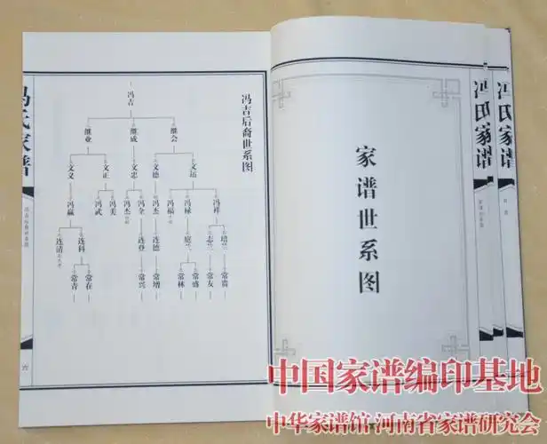 山东省滨州市阳信县冯氏家谱