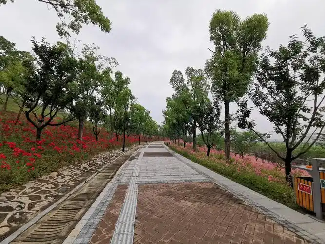 紫云公园漫山红