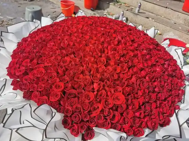 999朵玫瑰现在市场价多少钱玫瑰的花语