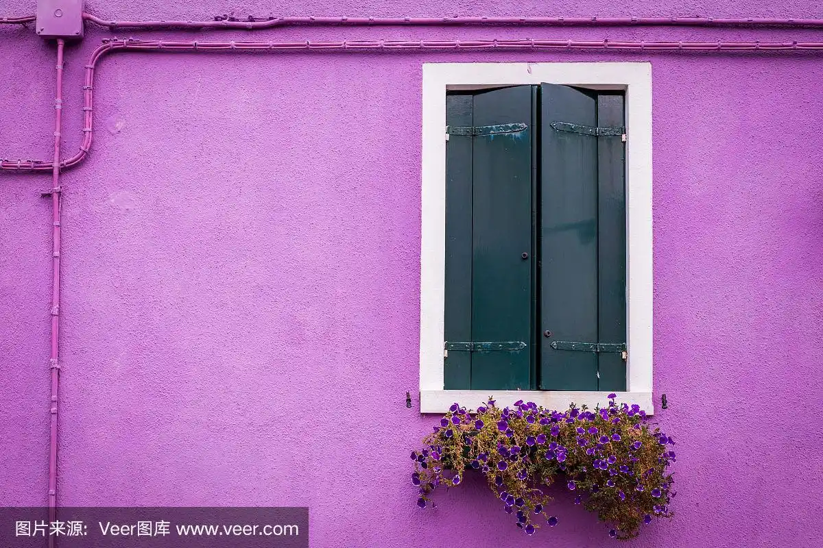 房子的紫色立面