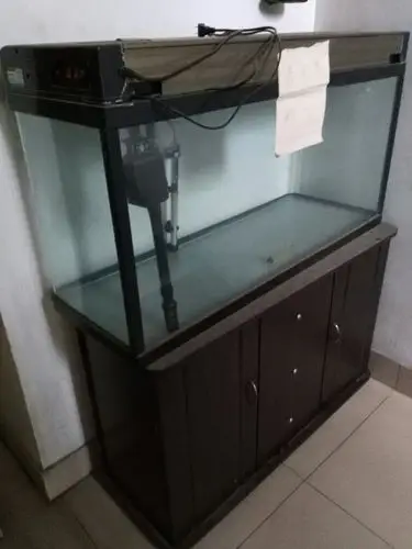 卖二手鱼缸,只用了1年