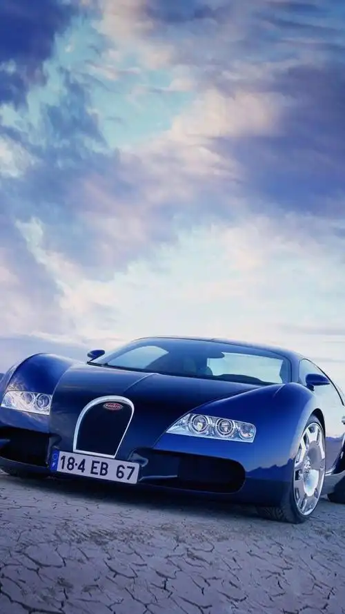 法国神车布加迪威龙创始人在标致起家