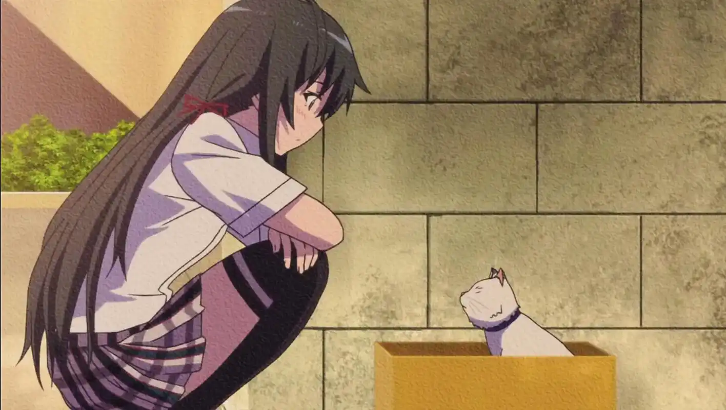 发一点八幡和雪乃的糖,嘿嘿嘿#春物#动漫推荐 - 抖音