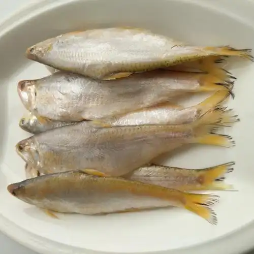 新鲜黄鲫鱼黄鲫子鱼黄尖子毛扣鱼油扣马口鱼烤子鱼海鱼海捕鱼
