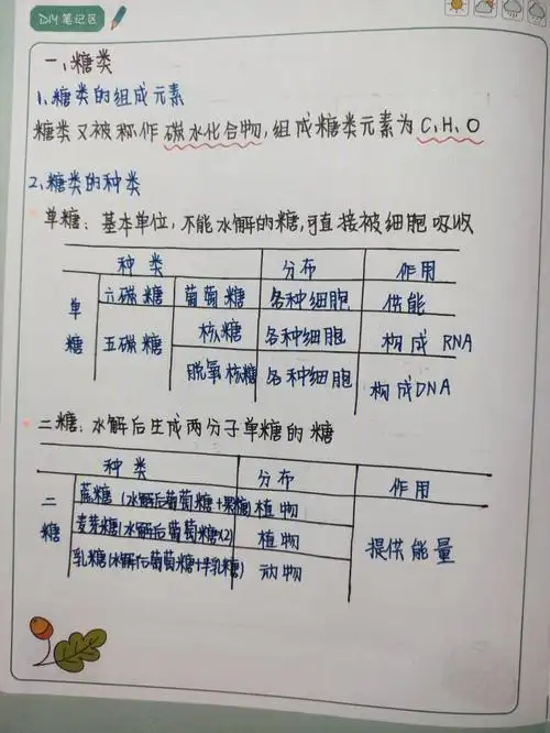 高一生物必修一糖类脂质核酸