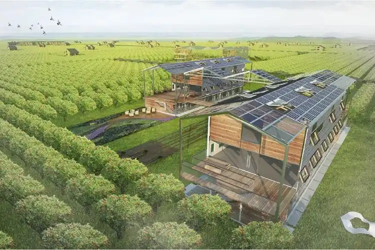 兴寿镇果园改造设计效果图