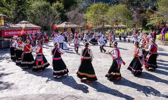 金果银果 怒江草果|来怒江,嗨一场怒族的达比亚舞