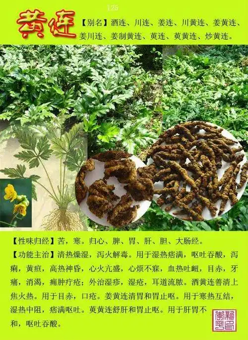 闲情雅趣.的美篇