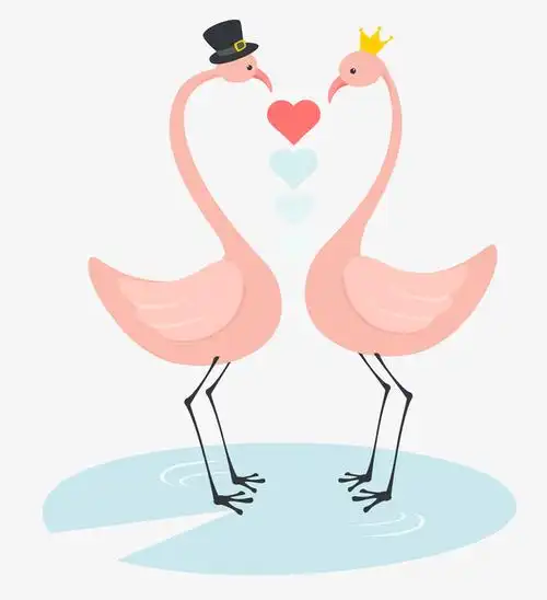 手绘粉色的火烈鸟