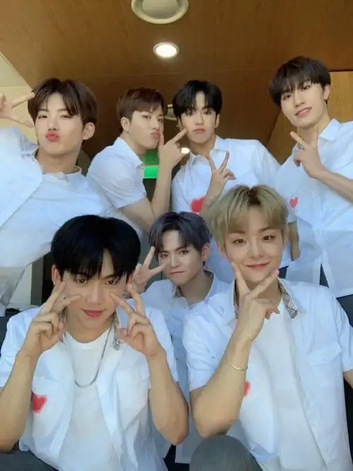 treasure - 堆糖,美图壁纸兴趣社区