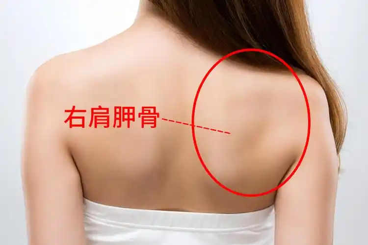 儿童后背肩胛骨