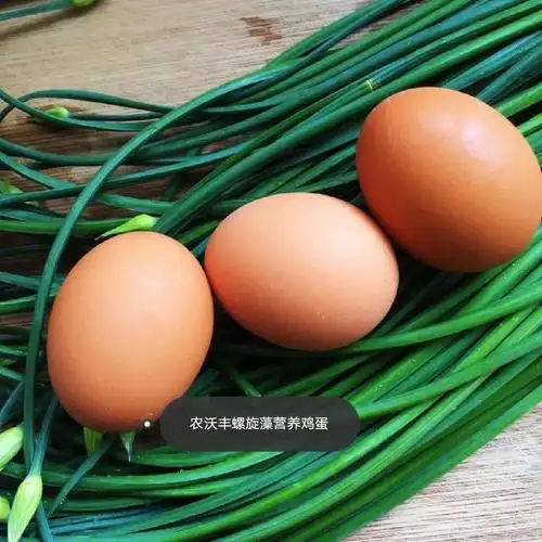鸡蛋种类这么多到底哪个更有营养