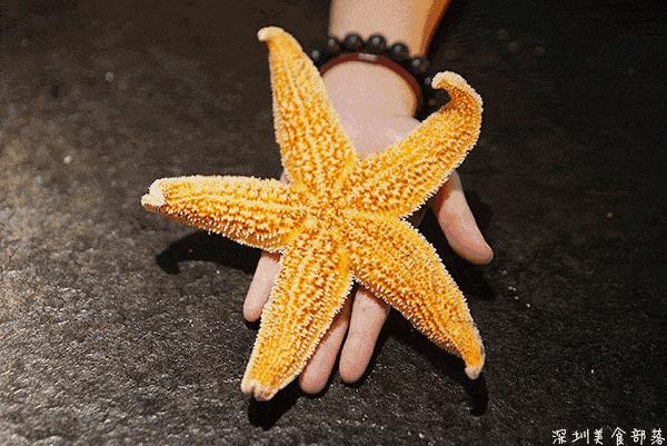 这是深圳唯一一家有烤海星的串店