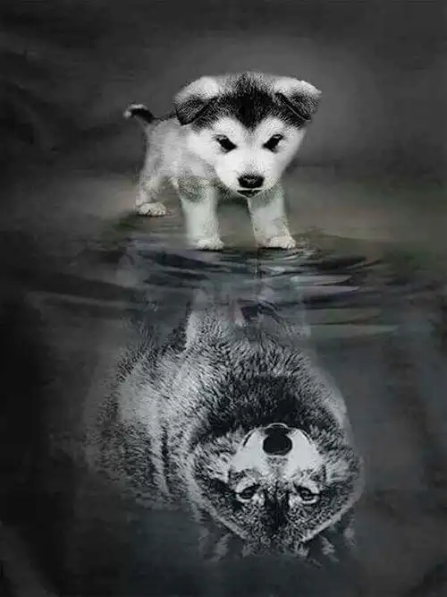 包邮粘贴十字钻石砖满绣小狗犬水面倒影幻想灰狼招待客厅卧室壁画