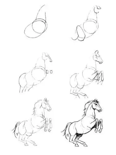 马飞翔简笔画步骤