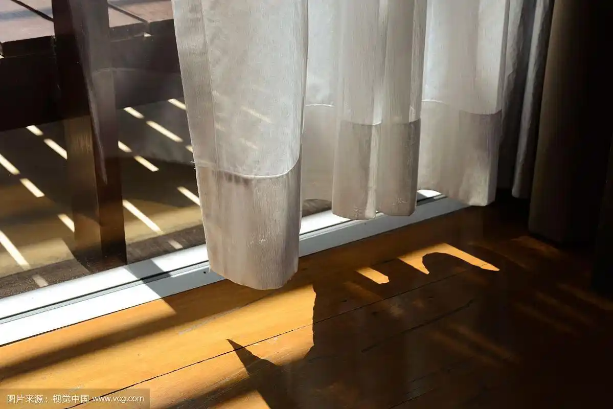 白色的透明窗帘,明亮的阳光和木地板.窗帘布