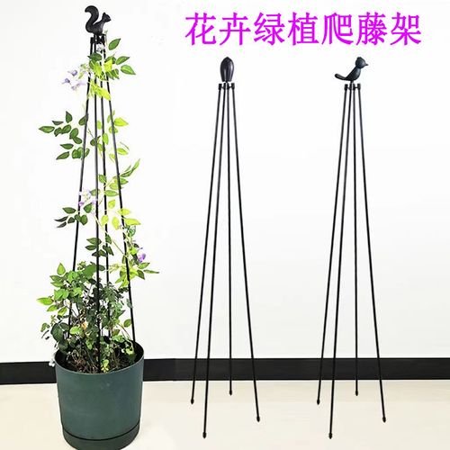 四角花架铁线莲茉莉花造型塔型支架户外阳台园艺月季支撑爬藤花架