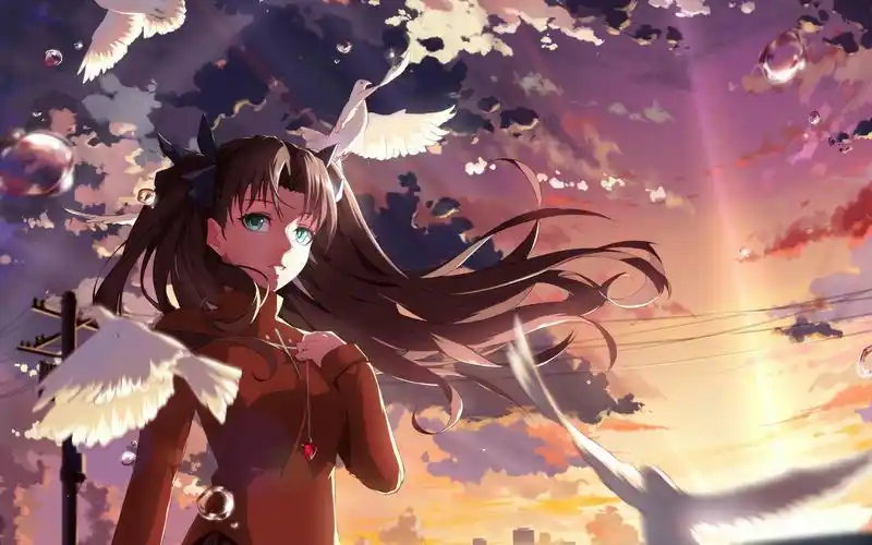 fatestaynight远坂凛桌面壁纸