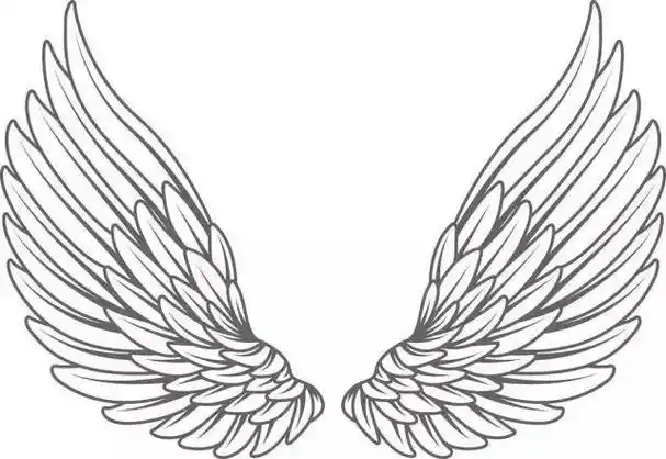 天使的翅膀简笔画 天使的翅膀简笔画图片